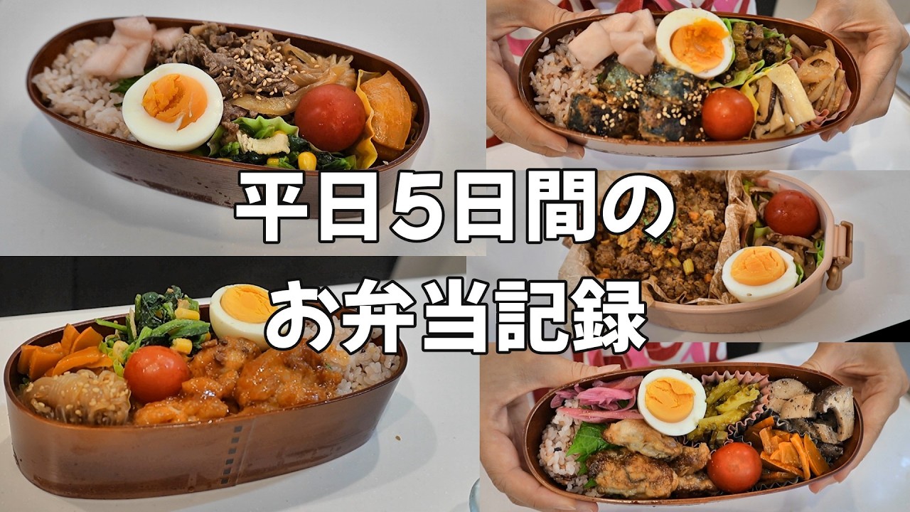 平日5日間のお弁当】月曜日から金曜日まで｜毎日のお弁当作り｜5 Days
