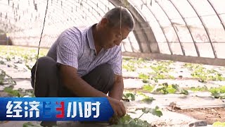 Economy in 30 Minutes 20170724 丨CCTV