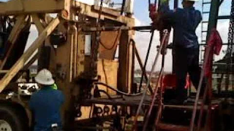 signal hill petroleum