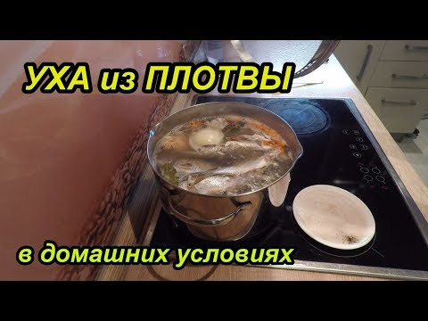 Уха из плотвы рецепт в домашних условиях