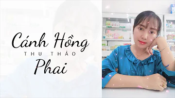 CÁNH HỒNG PHAI | TRẤN THÀNH | THU THẢO COVER