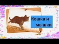 Кошка и мышки Песня для малышей