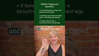 MBLEx Kinesiology | Origin vs Insertion Explained Simply