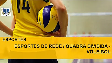 Como é dividida a quadra de vôlei?