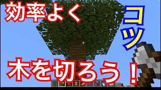 マイクラ 初心者必見 効率のいい木の切り方 マイクラ 初心者必見 効率のいい木の切り方