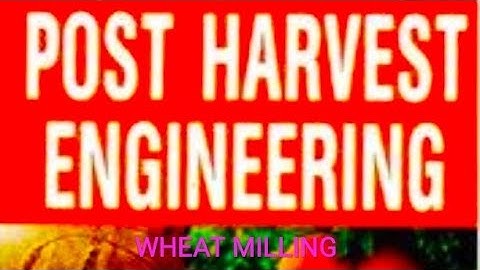 WHEAT MILLING IN HINDI