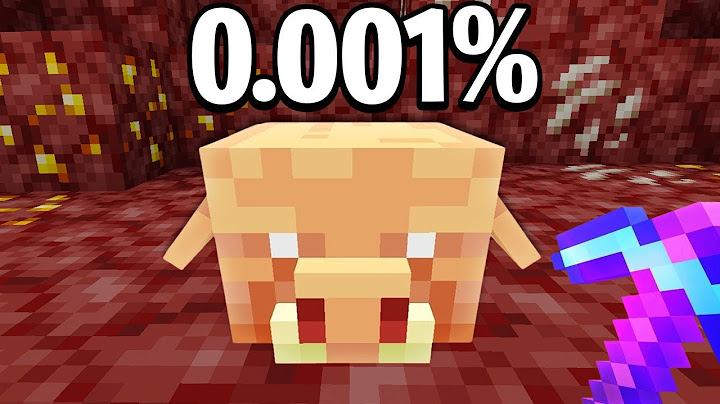 J'ai Collecté Tous les Items les Plus Rares de Minecraft Hardcore