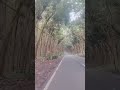 Tembang Kenangan Cintaku Padamu - Ita Purnama Sari. #Shorts