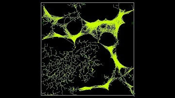 Slime Mold Simulation - Spring-based clustering 2D