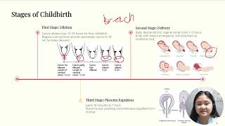 Developmental Psychology_Chapter 3: Birth and Physical Development of First Three Years of Life