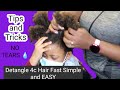 How To Properly Detangle 4c Hair for TENDER HEADED kids *DETAILED* Hairstylist detangles