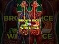 What Happens Inside Your Body When You Eat Brown Rice VS. White Rice?