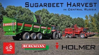 Russian Farming *Harvesting Sugarbeets on 14.000Ha*