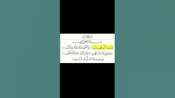 سورة المسد كاملة بصوت سعد الغامدي