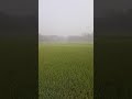 ইস্তেগফারের ফজিলত#shortvideo #foryou #viralvideo #mijanur_rahman_azhari
