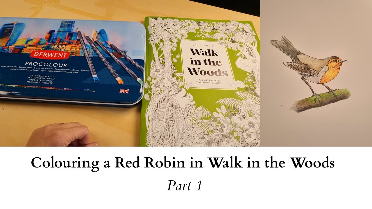 Colouring a Red Robin in Walk in the Woods - Derwent Procolour