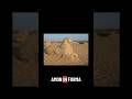 La statua di Amon di Jebel Barkal #amonra #sudan #storiedioggetti #historyshorts #learnonyoutube