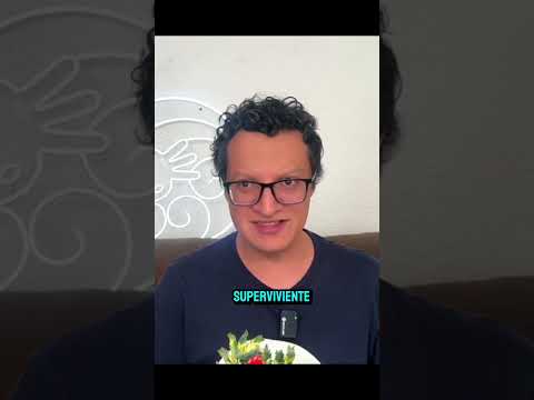 Los estafadores no hablan del fracaso
