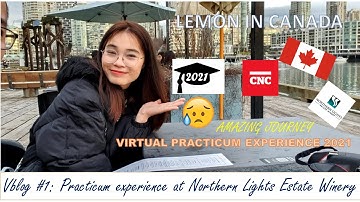 VBLOG #1: My 2021 virtual  practicum experience in Canada