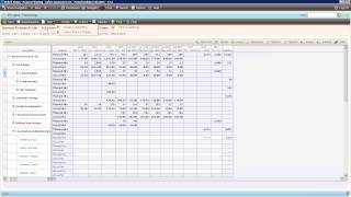 CCG - Deltek Vision Resource Planning with Navigator