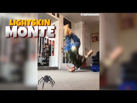 hood-ni**as-when-they-see-a-spider-😭😭😭🕷