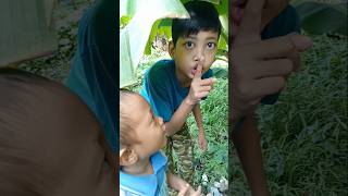 Download Lagu lagi ngumpet malah main peteng layangan koang #trendingshorts #layanganpeteng #layanglayang MP3