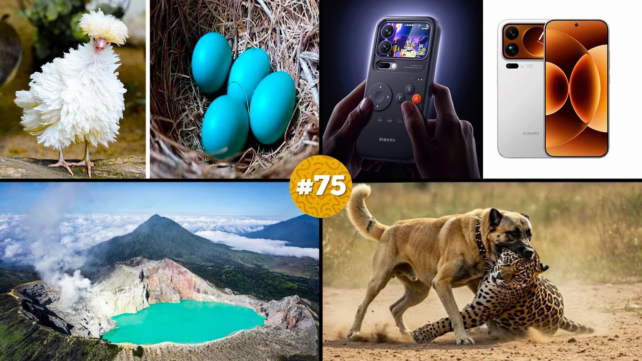 🧠 ¡20 DATOS CURIOSOS que NO sabías hace 5 minutos! 😱#75