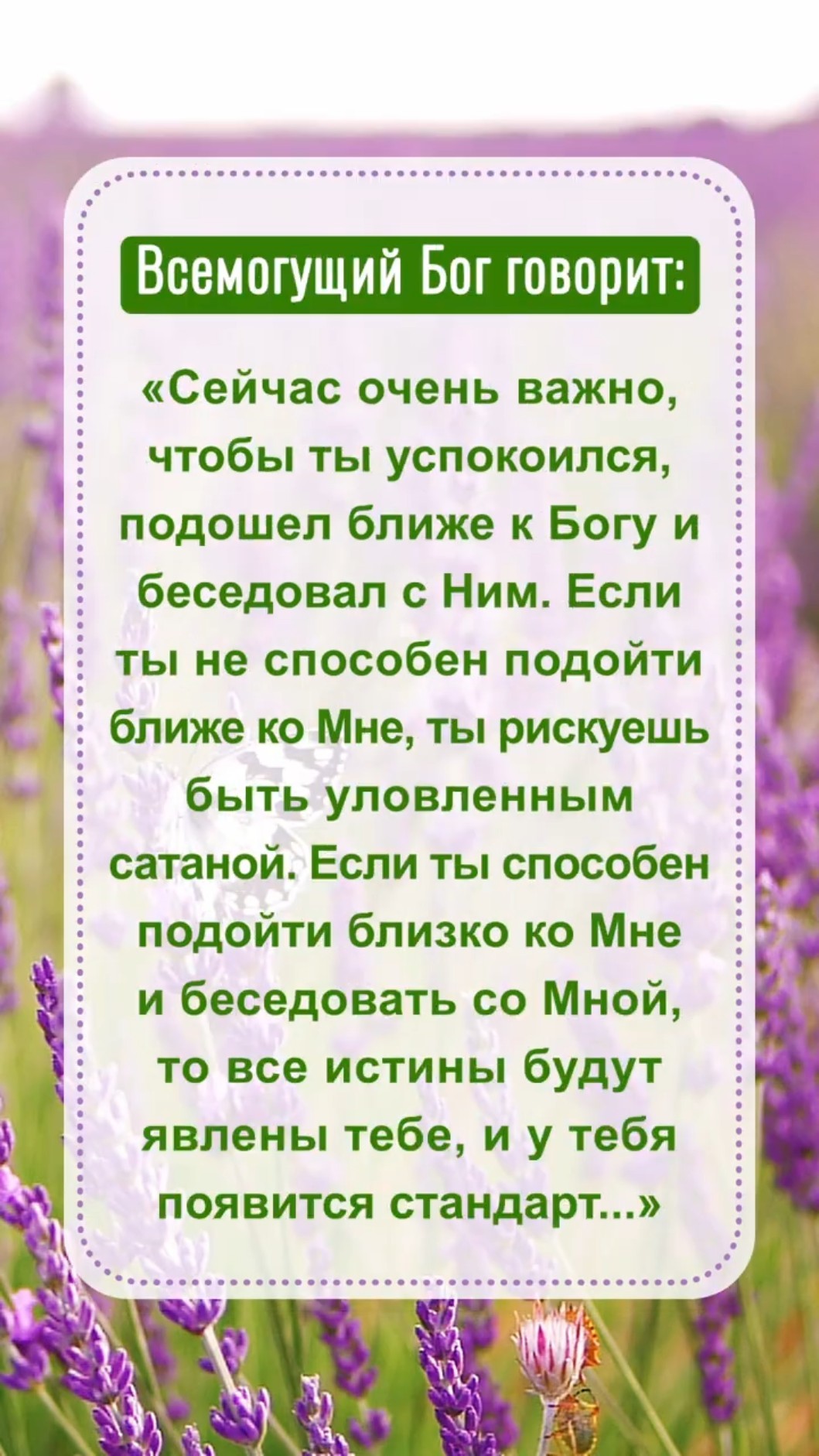 Бог надеется, что мы прочитаем это