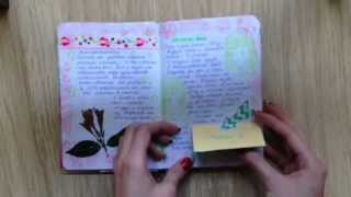 Somchik&#39;s diary #3 / Мой 3-ий личный дневник