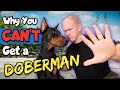 DON'T Get a Doberman If THIS is You!