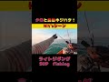 【夕日と良型キジハタ!!】 #shorts #キジハタ #sup #fishing #gter #釣り #ライトジギング #goodtimeencounter