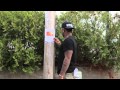 Take Note: OFFICIAL SHORT FILM