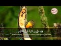 القارئ عبدالباسط عبدالصمد سورة العنكبوت الآية 60 وكأين من دابة لا تحمل رزقها الله يرزقها وإياكم القارئ عبدالباسط عبدالصمد سورة العنكبوت الآية 60 وكأين من دابة لا تحمل رزقها الله يرزقها وإياكم