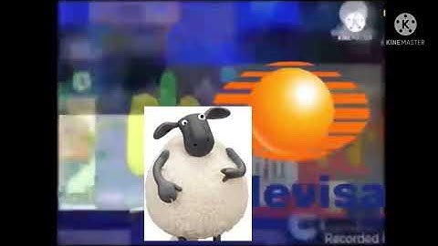 Tom and jerry door chase add round 40