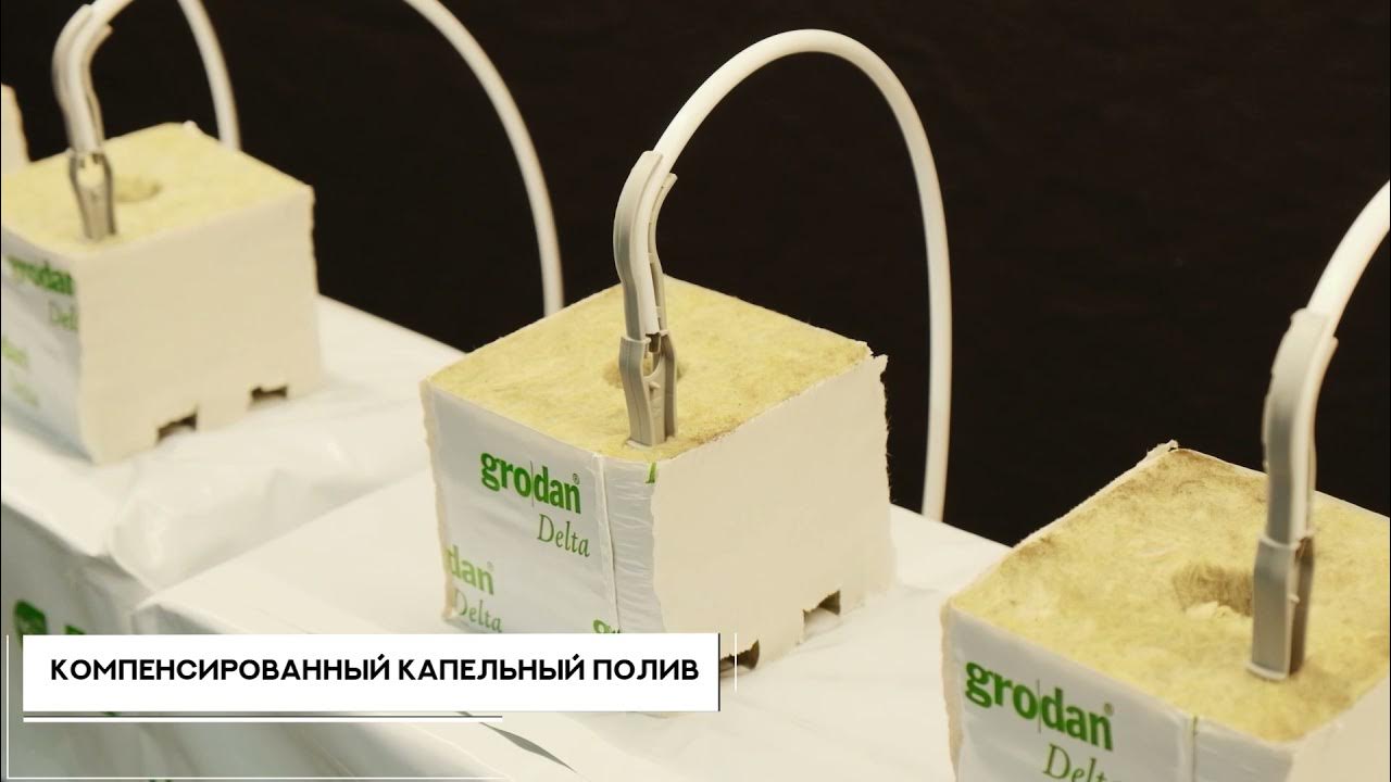 СТЕЛЛАЖ "КЛУБНИКА" - YouTube