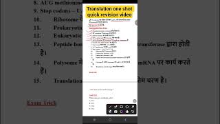 Translation One Shot Revision