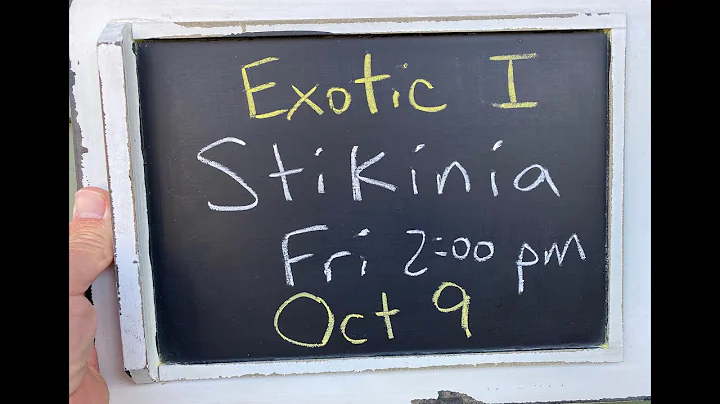 Exotic I: Stikinia