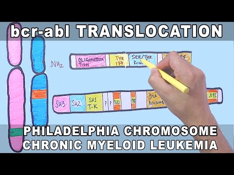 Video: Nový Fúzny Gén BCR-ABL1 S Genetickou Heterogenitou Naznačuje Dobrú Prognózu V Prípade Chronickej Myeloidnej Leukémie