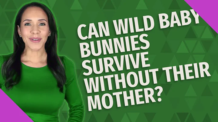 Can wild baby bunnies survive without their mother?