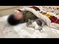 映画を見てたら一緒に寝落ちしちゃってた弟と猫がかわいすぎました…