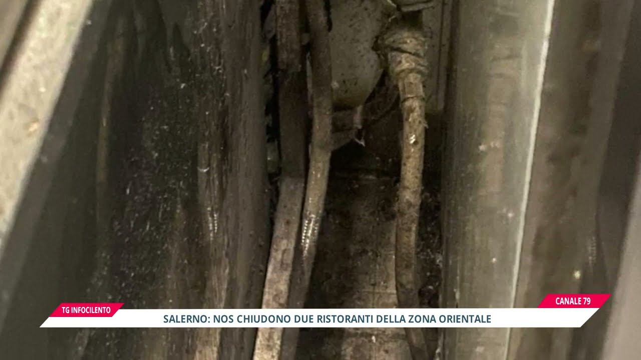 Salerno, chiusi due ristoranti per gravi carenze igieniche e lavoro nero