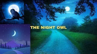 #226A THE NIGHT OWL🦉🦉🌜🌙🌚🌃#thenightow #intelligent #eerie #sinister #frightened