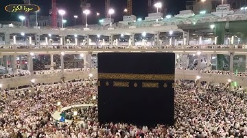 سورة الكوثر ياسر سلامة