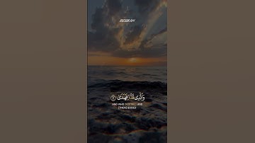 سورة الأعلى #القرآن_الكريم #تلاوة_خاشعة #آيات #quran #راحة_نفسية #اكسبلور #explore #viralvideo #لايك