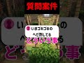 リスナーさんの質問答えてたらやばい事になった活動者#shorts #マイクラ #マインクラフト