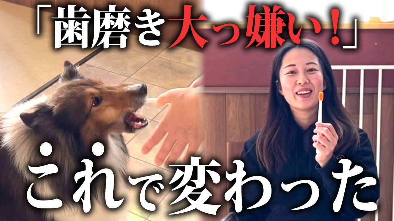 【保定が命】歯磨きが嫌と感じる理由は〝不安定〟なままだから！