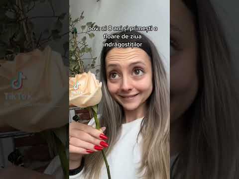 Băsescu, despre Consiliul de Pace al lui Trump și atitudinea lui N.Dan: N.DAN FACE CE TREBUIE”_B1TV_