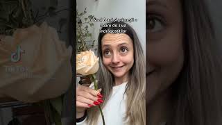 Momente ,,Tu Mami Partea 1 Delia Nou