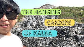 Hanging Gardens of Kalba     #travel  #uae #travelvlog