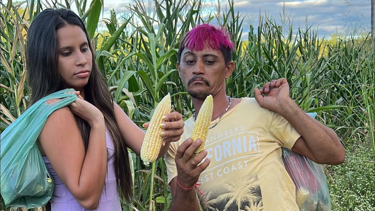 TROLEI CRÊMOLAW NA PLANTAÇÃO DE MILHO😂 | BRENDA RAQUEL - YouTube
